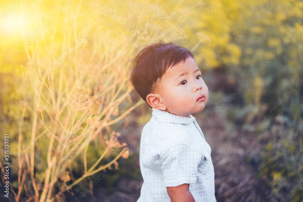 The little Asian boy is looking at the parents in the pasture. The little Asian boy is looking at the parents in the pasture.
