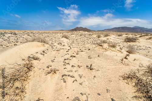 Deserted sandy expanses of the Jandia Peninsula. Fuerteventura. Canary Islands. Spain.