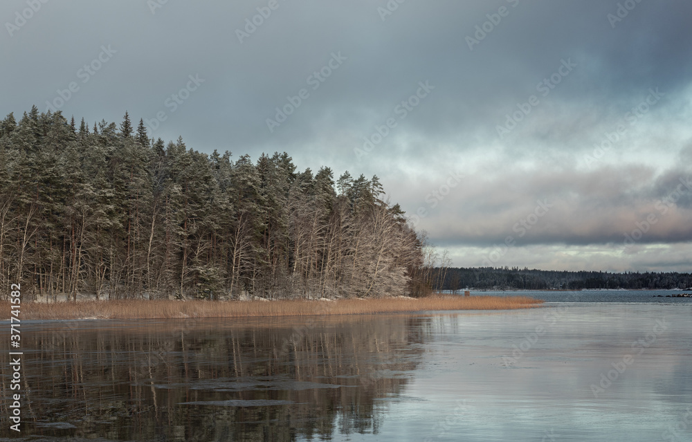 Fototapeta premium Moody winter and snowy trees in Finland