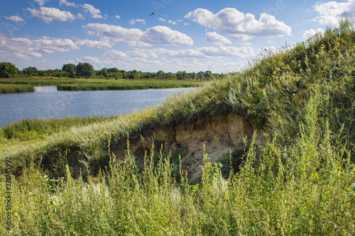 landscape with green grass and blue sky