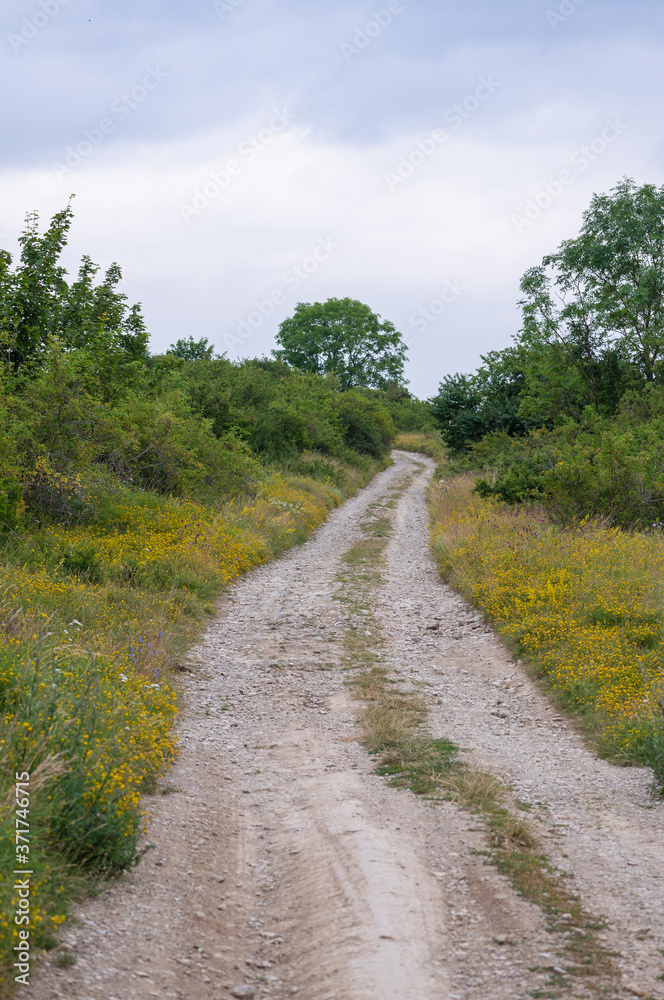 Landschaft im Sommer