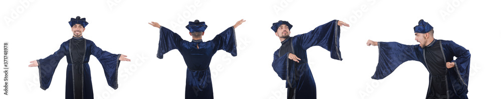 Wizard isolated on the wise background