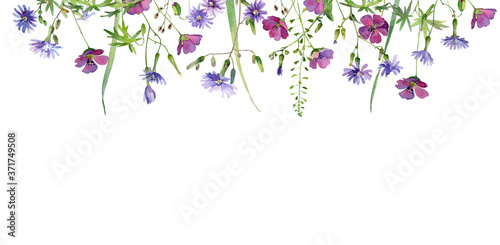 Watercolor background of falling red and blue flowers on a white background