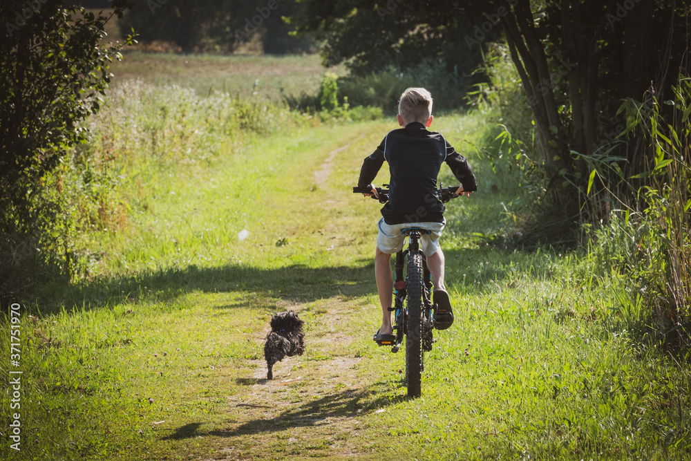 Fototapeta premium a boy rides a bicycle and a little black dog runs beside him