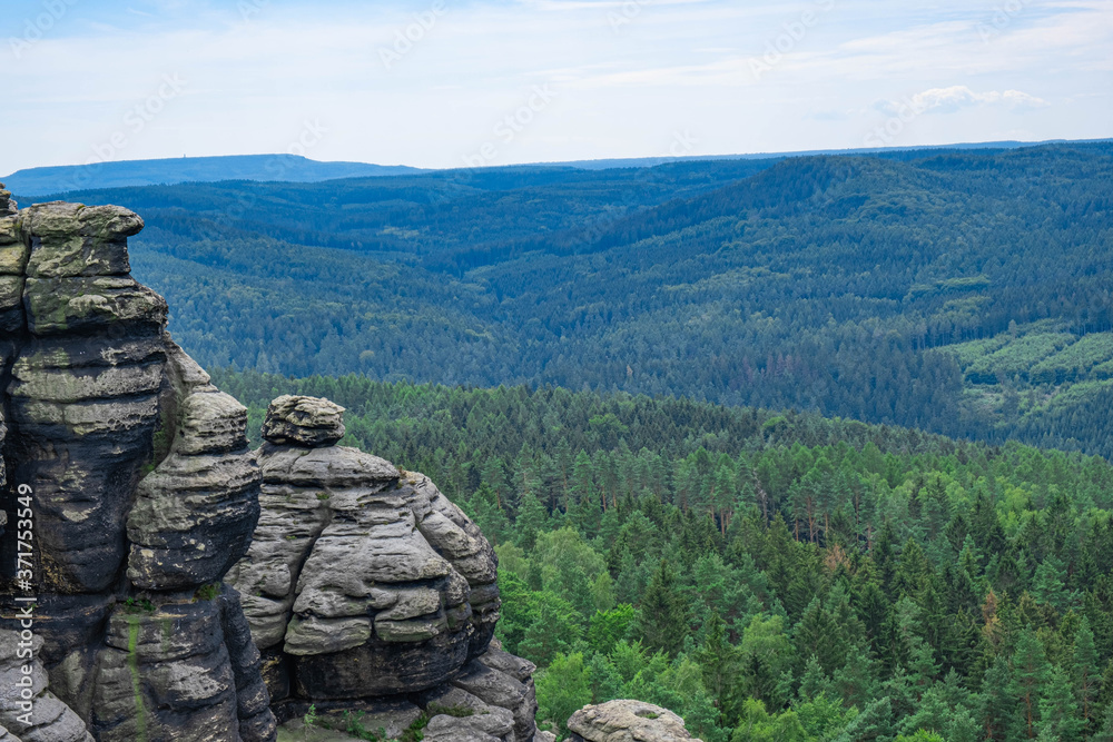 mountain, mountainous area covered with vegetation