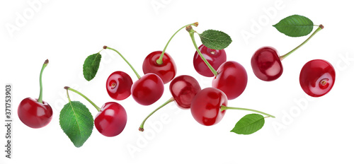 Ripe cherries flying on white background, banner design