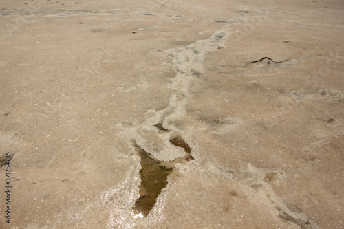 Close-up of sand on the beach of the salty pink lake Bursol (Altai Territory). photo