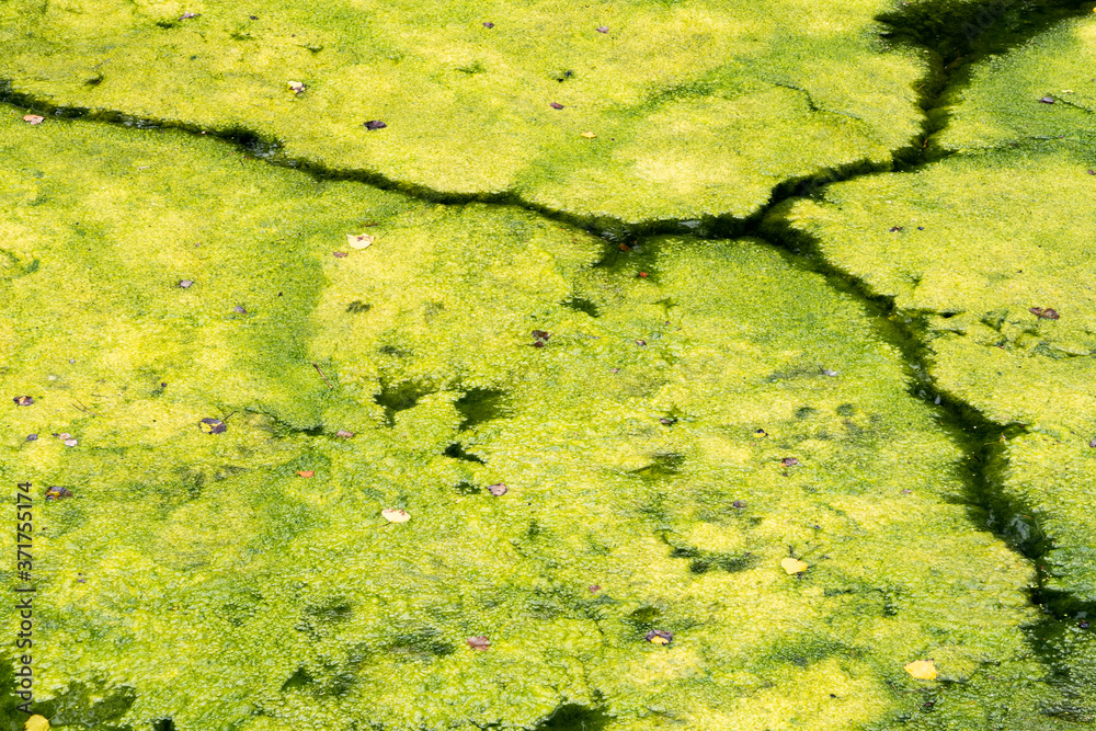 Background with curves and diagonals in the river Background with curves and diagonals in the river
