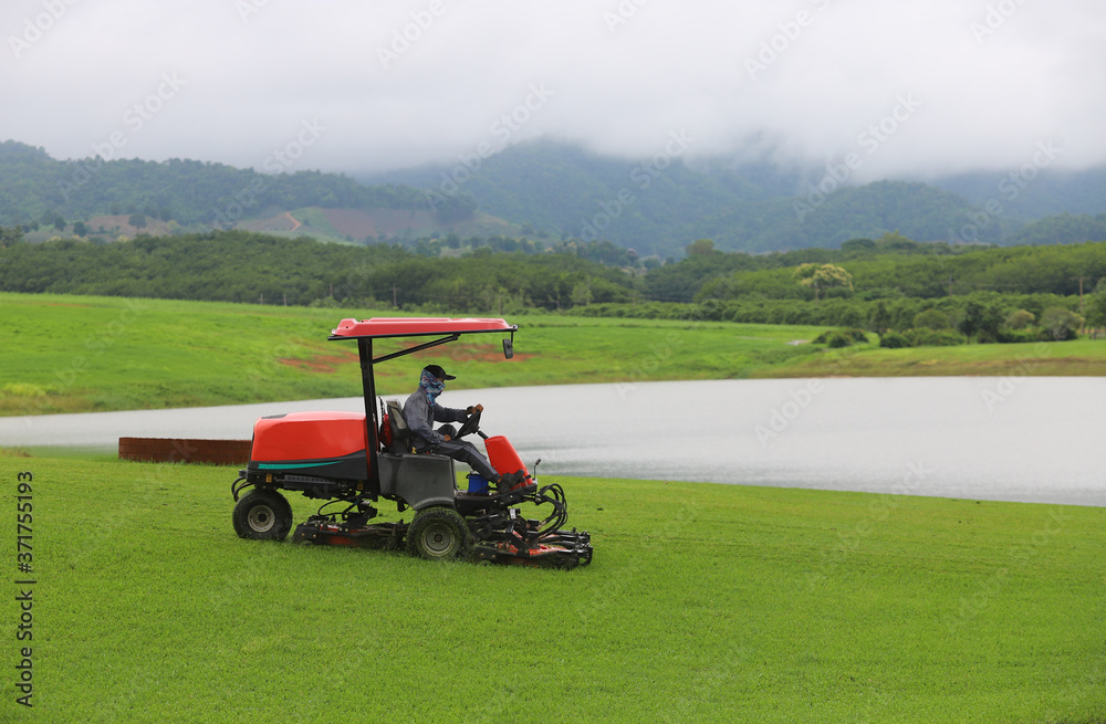 A gardener using lawn mower for cutting grass A gardener using lawn mower for cutting grass