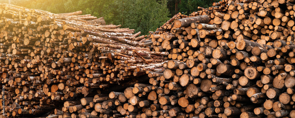 Stock of timber. Timber industry
