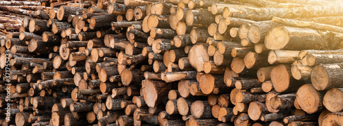 Stock of timber. Timber industry 