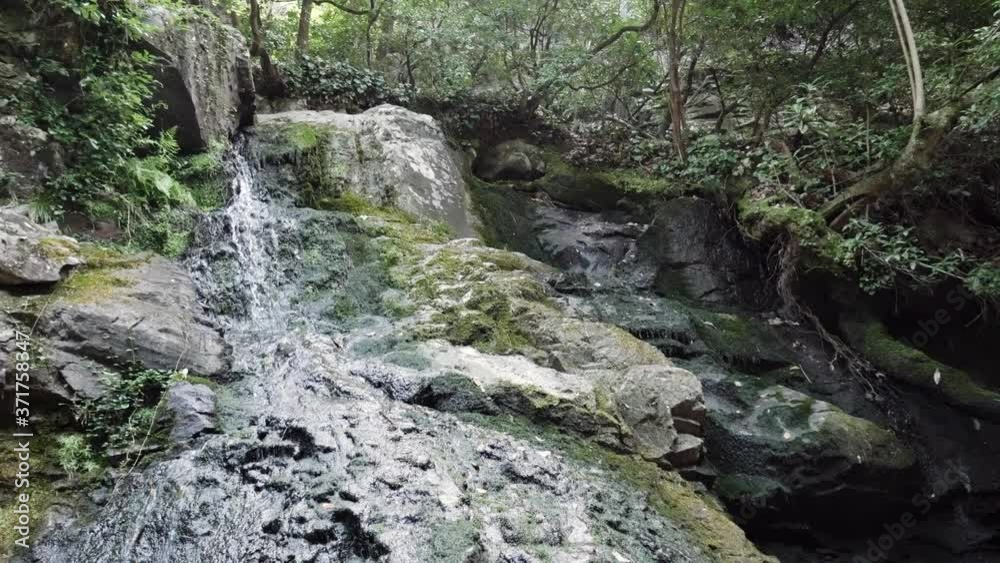 waterfall along high falls trail in the talladega national forest, alabama, usa waterfall along high falls trail in the talladega national forest, alabama, usa