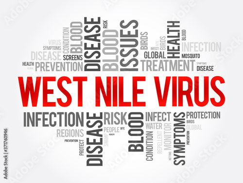 West Nile Virus word cloud collage, health concept background