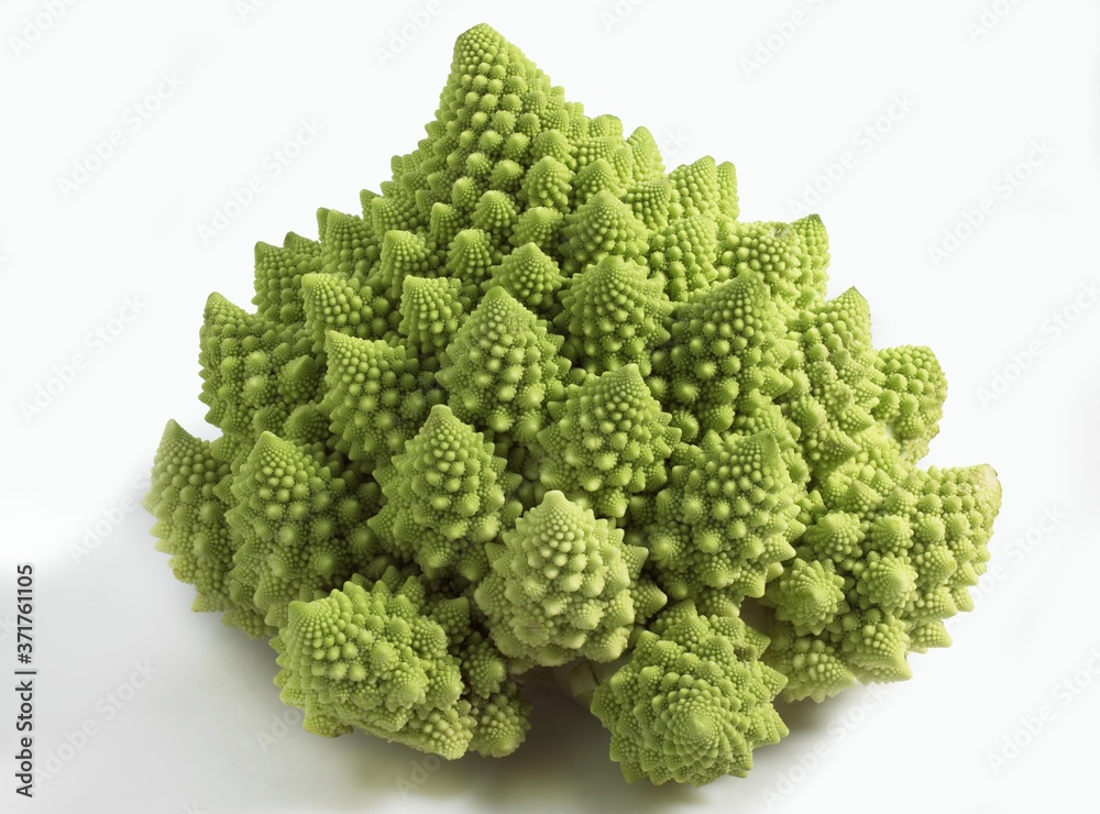 Romanesco Cabbage, brassica oleracea against White Background Romanesco Cabbage, brassica oleracea against White Background