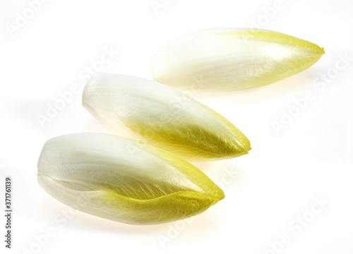 Chicory, cichorium endivia against White Background