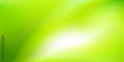 Natural blurred background with sunlight. Abstract green yellow gradient backdrop. Vector illustration. Ecology concept for your graphic design, banner, wallpaper or poster, website.