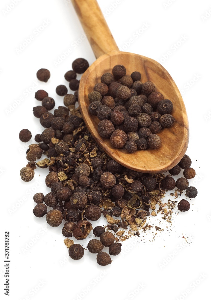 Jamaica Pepper, peper nigrum against White Background Jamaica Pepper, peper nigrum against White Background
