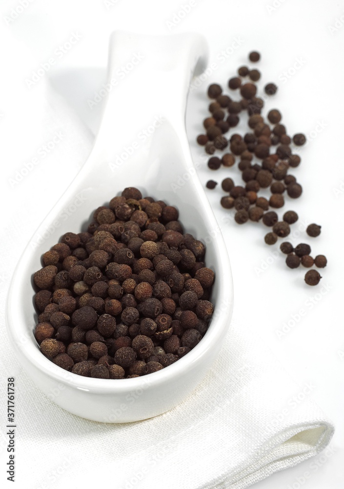 Jamaica Pepper, peper nigrum against White Background Jamaica Pepper, peper nigrum against White Background