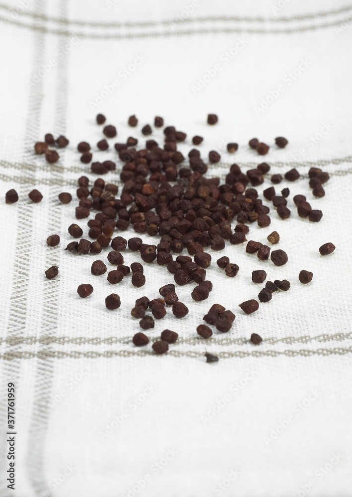 Grains of Paradise, aframomum melegueta, African Spice