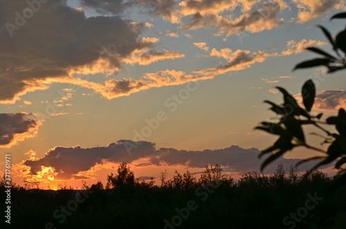 Beautiful photos at sunset.