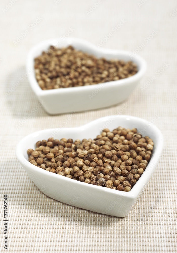 Coriander Seeds, coriandrum sativum Coriander Seeds, coriandrum sativum