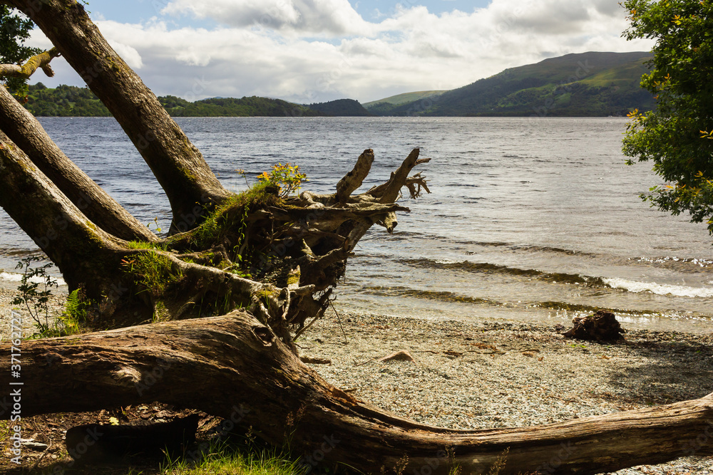 An empty remote beach on the banks of Loch Lomond in Scotland on a summers day An empty remote beach on the banks of Loch Lomond in Scotland on a summers day