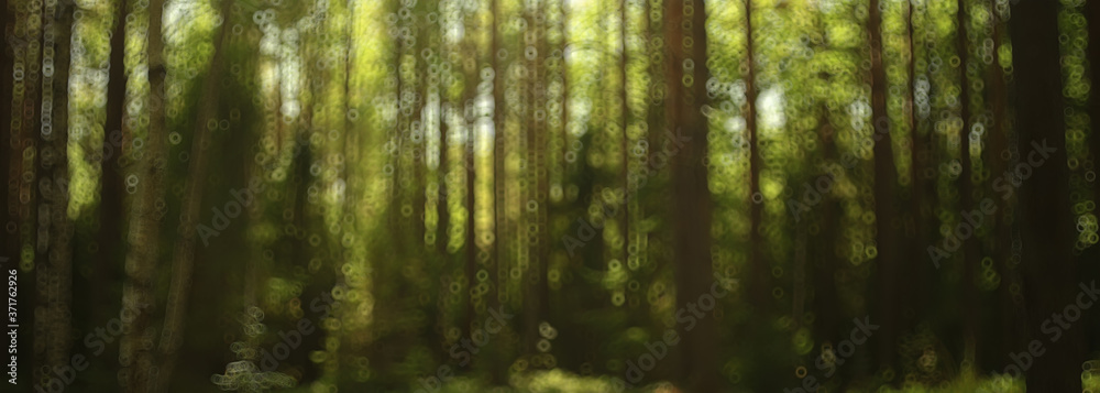 Fototapeta premium landscape summer forest glare sun bokeh blurred background, abstract view of trees