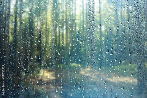 summer forest landscape rain drops  abstract background wet park  rain spray weather