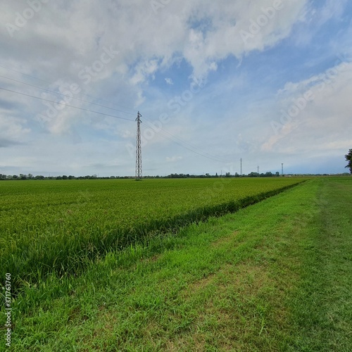 rural landscape in the netherlands