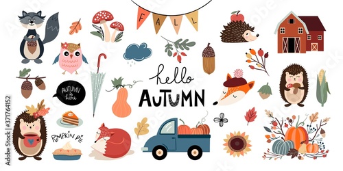 Autumn elements collection with seasonal design and colors, isolated on white