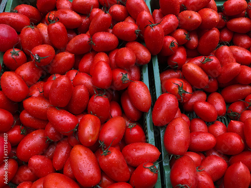 Beautiful deep red oval shaped tomatoes 