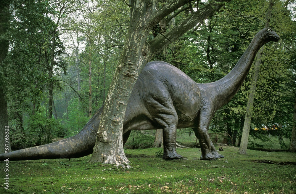 Fototapeta premium Diplodocus, Gigantic Herbivorous Sauropods from the Late Jurassic Period