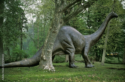 Diplodocus  Gigantic Herbivorous Sauropods from the Late Jurassic Period