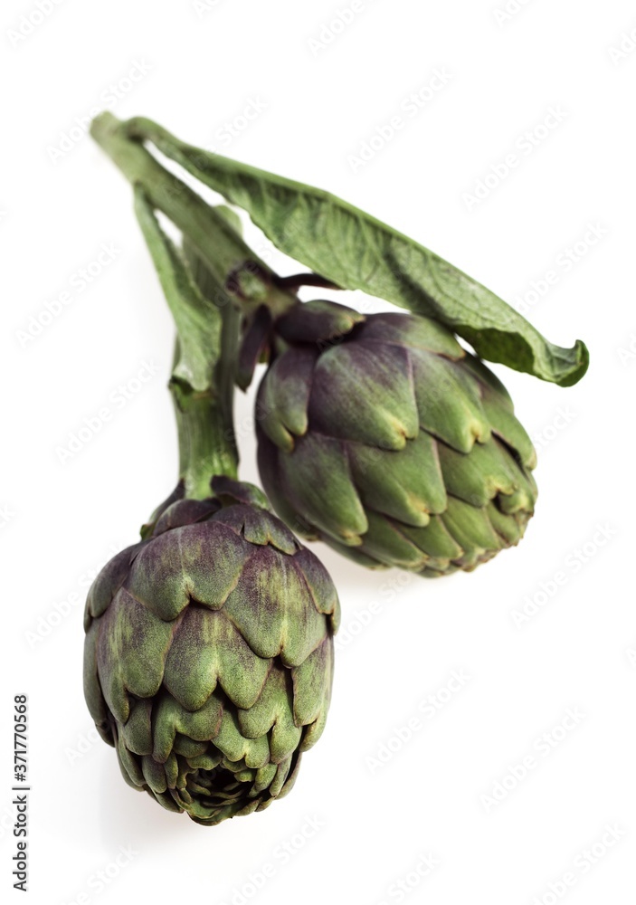 Obraz premium Artichoke, cynara scolymus against White Background
