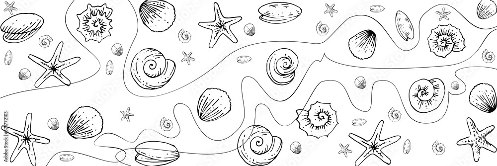 Seashells, snails, starfish, rapanas. Outline hand drawing. Isolated vector object on white background. Inhabitants of the ocean floor.