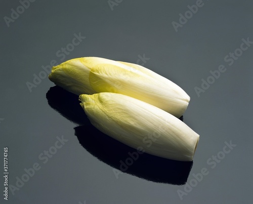 Chicory, cichorium endivia against Black Background