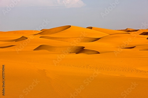 Fototapeta Naklejka Na Ścianę i Meble -  Sand Dunes in the Desert near Walvis Bay, Namibia