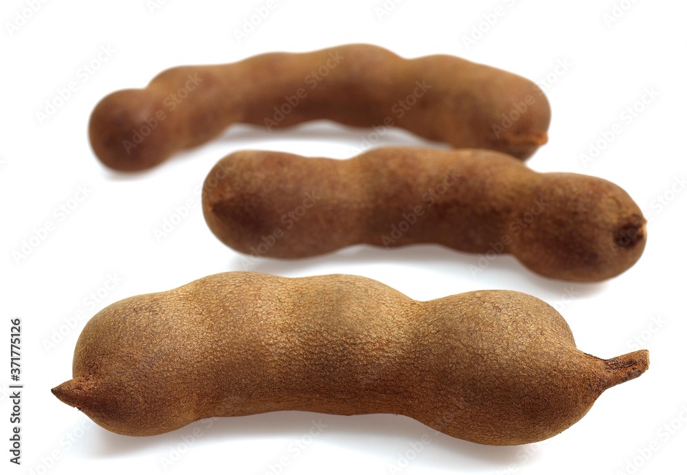 Tamarind Fruits, tamarindus indica against White Background Tamarind Fruits, tamarindus indica against White Background