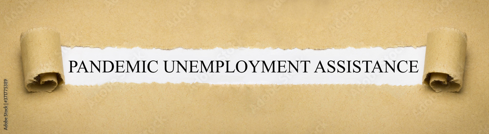 Pandemic Unemployment Assistance Pandemic Unemployment Assistance