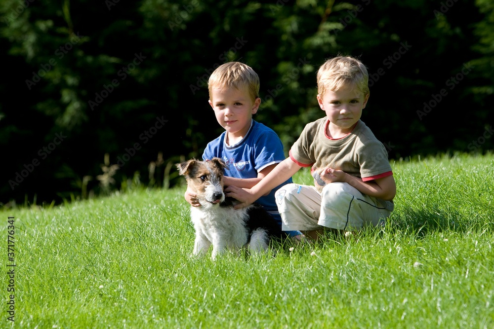 Boys and Pup Wire-Haired Fox Terrier Boys and Pup Wire-Haired Fox Terrier