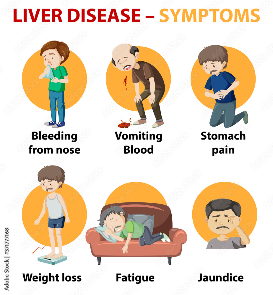 Liver Disease Symptoms Cartoon Style Cartoon Style Infographic Stock 