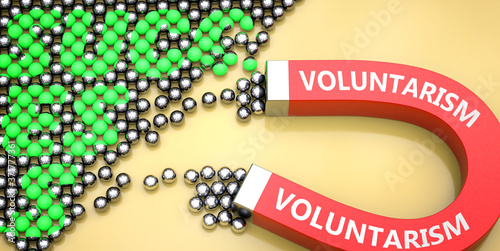 Voluntarism attracts success - pictured as word Voluntarism on a magnet to symbolize that Voluntarism can cause or contribute to achieving success in work and life, 3d illustration