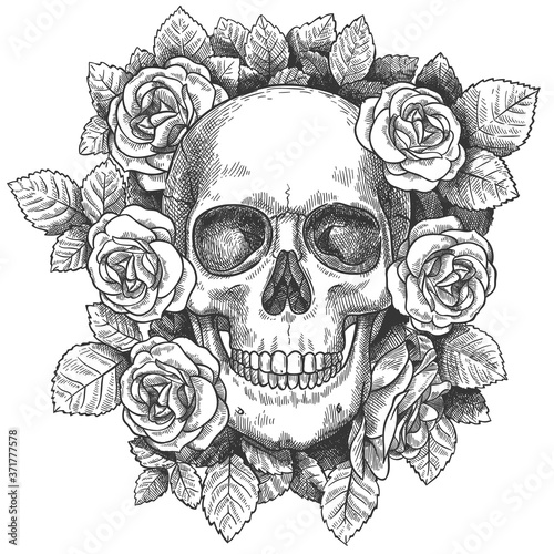 Skull with flowers. Sketch human skull with roses, traditional gothic black tattoo. Drawn monster halloween engraving vector artwork. Scary dead head with teeth with blossom and foliage