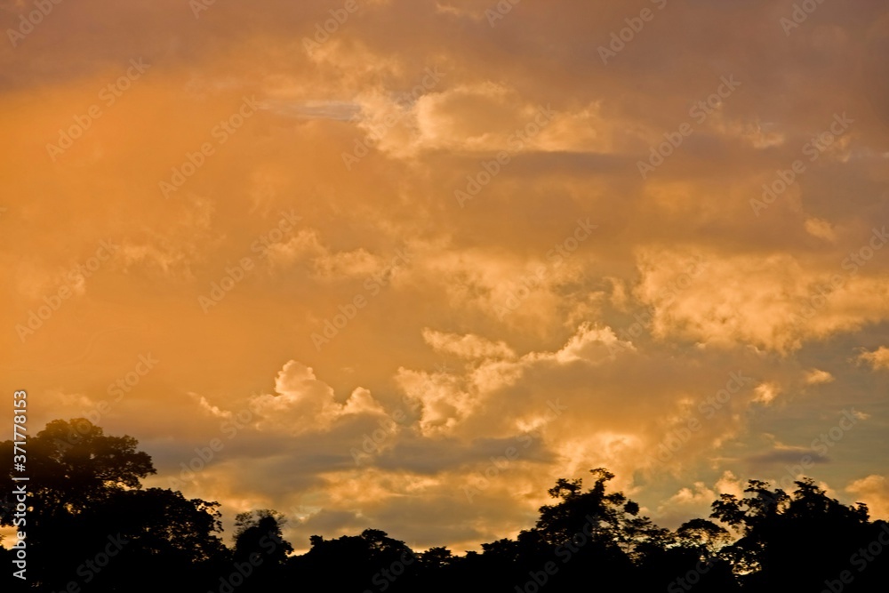 Sunset at Manu National Park in Peru