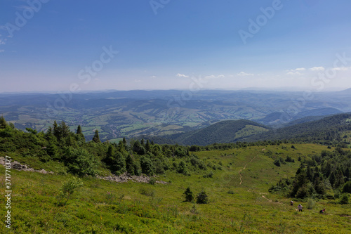 Typical landscape of the Carpathian highlands. Thickets of Juniperus communis subsp. alpina in the Carpathians. Landscape of the Carpathians on a clear summer day. Region Main watershed, Mount Pikuy. 