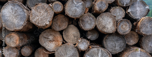 background of old dark round logs lying in the open air. close-up  panoramic shot