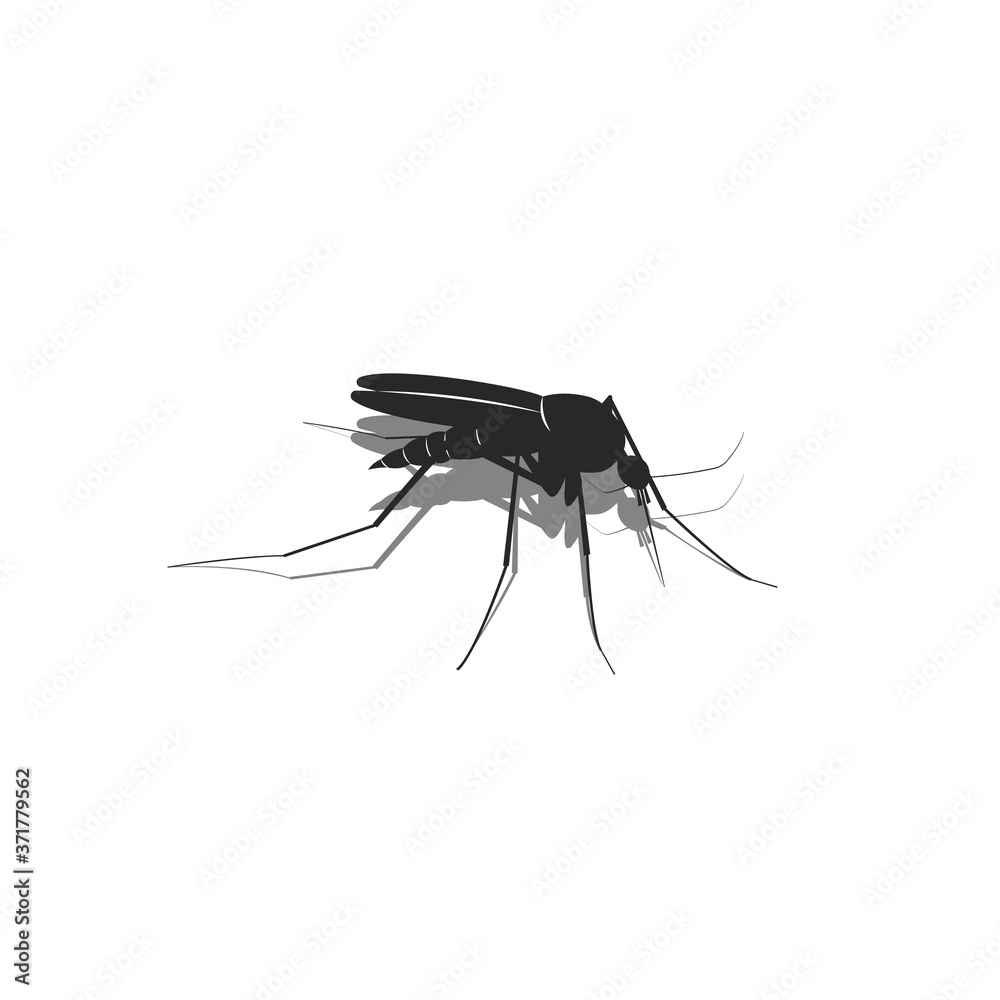 Mosquito silhouette 3d in isometric black and white minimalistic illustration of a blood sucking insect isolated on white