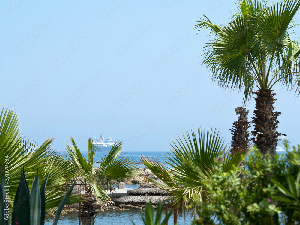 Fototapeta premium Sea view through palm trees with copy space