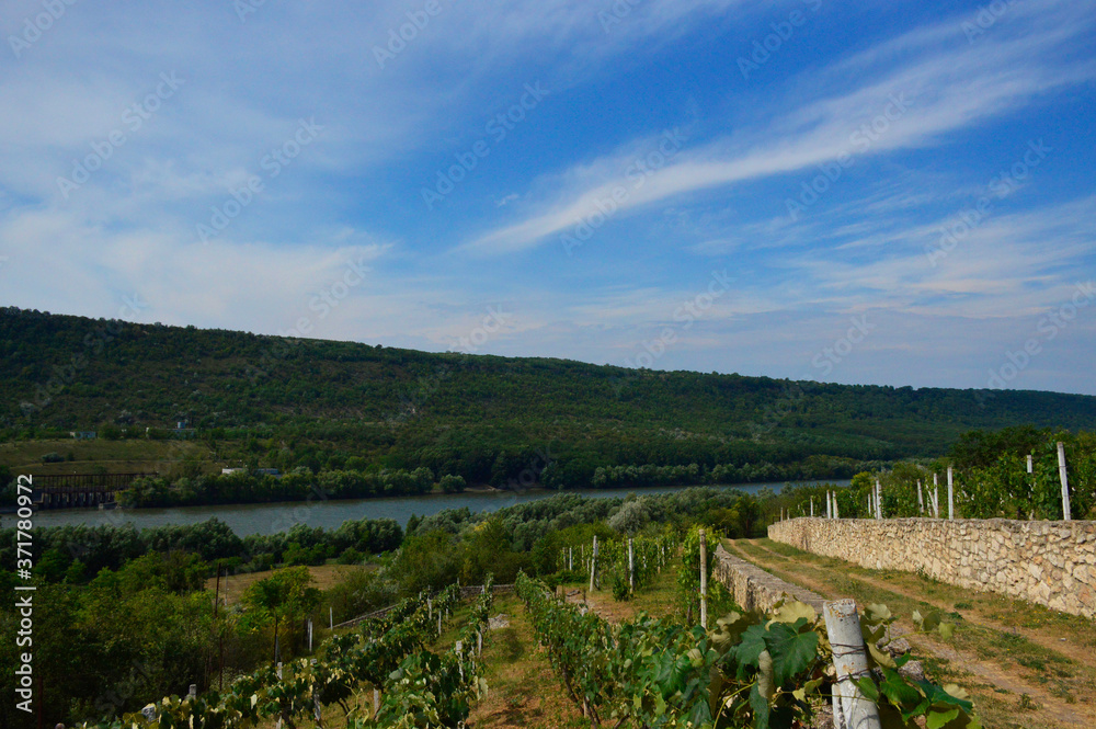 beautiful view of vine terraces, river, and wooded hillside, blue cloudy sky above