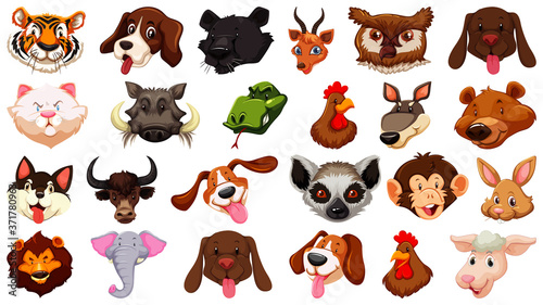 Set of different cute cartoon animals head huge isolated on white background